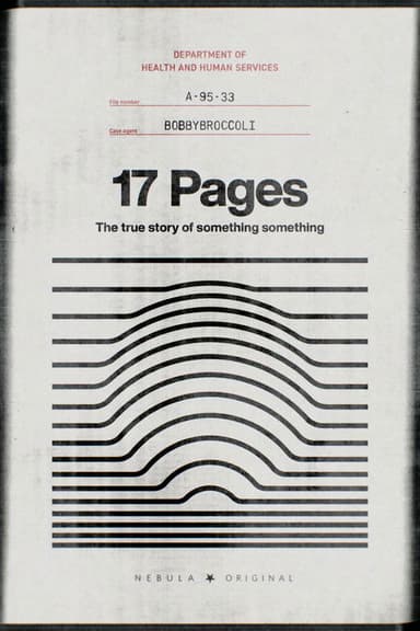 17 Pages