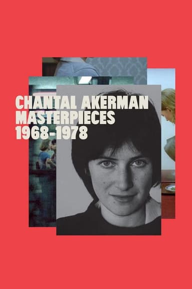 A New Way of Seeing: B. Ruby Rich on Chantal Akerman