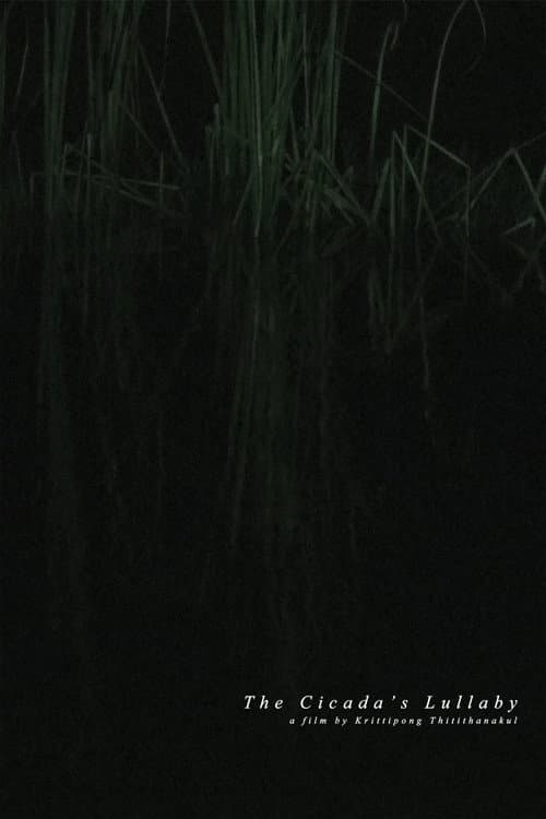 The Cicada's Lullaby