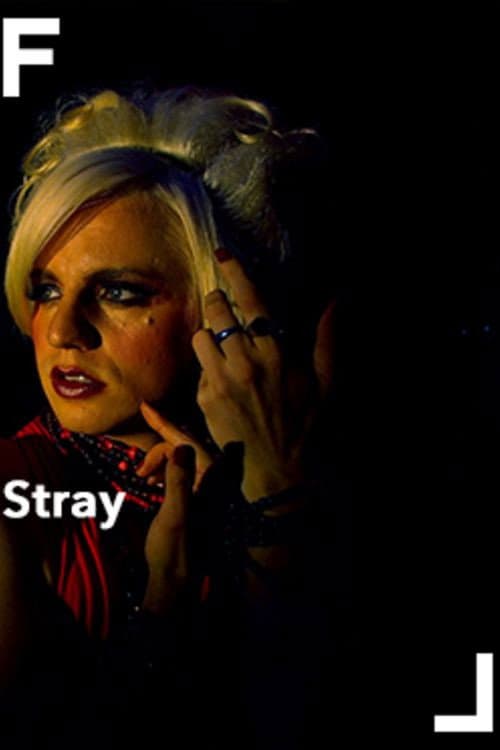Stray