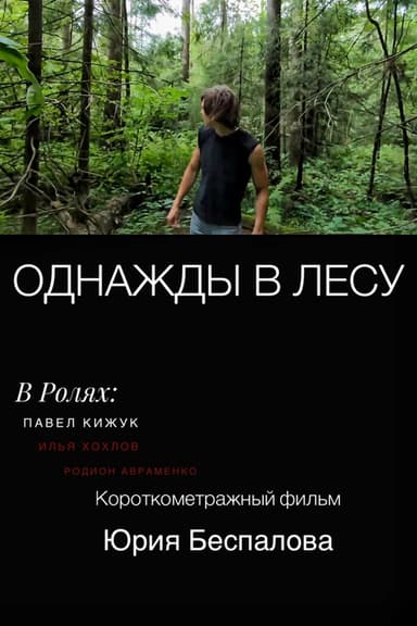 Once Upon a Time in the Forest