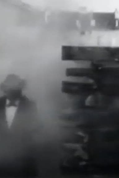 Wood Fire