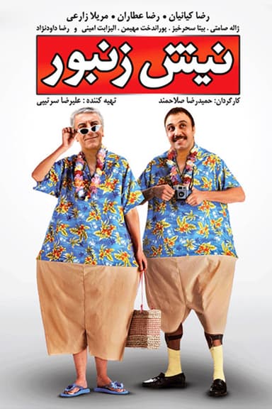 Nish Zanbor
