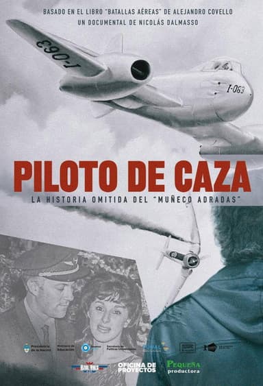 Piloto De Caza