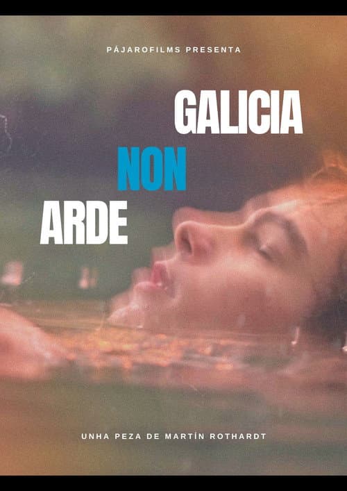 GALICIA NON ARDE