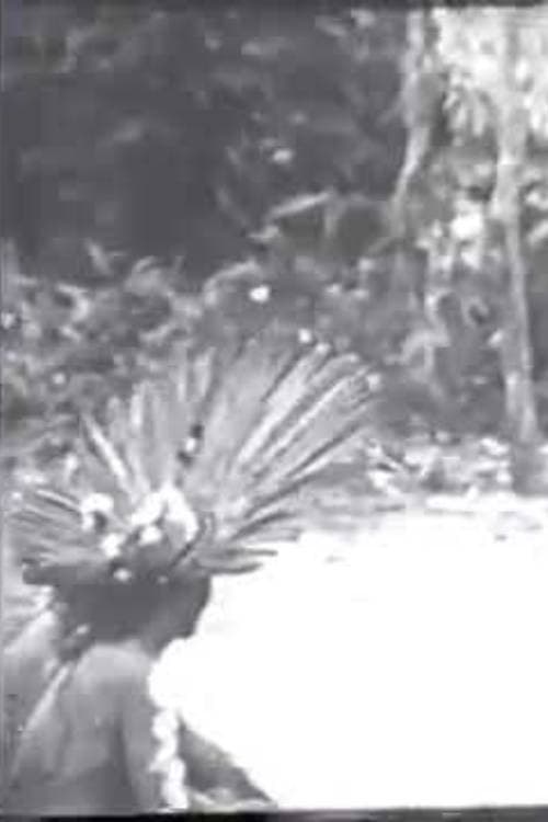 Cerimônias Fúnebres entre os Índios Bororo