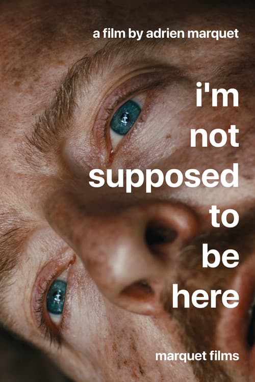 I'm Not Supposed To Be Here
