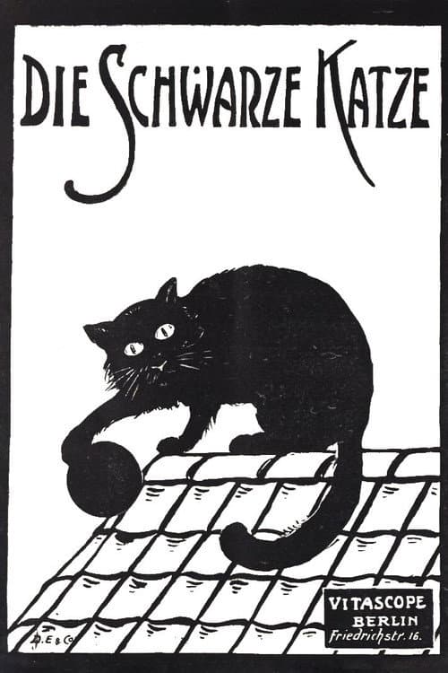 The Black Cat Part 1