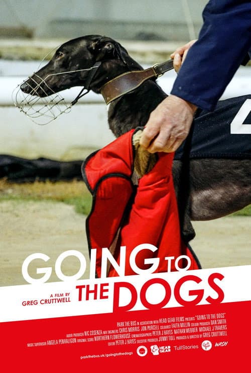 Going to the Dogs