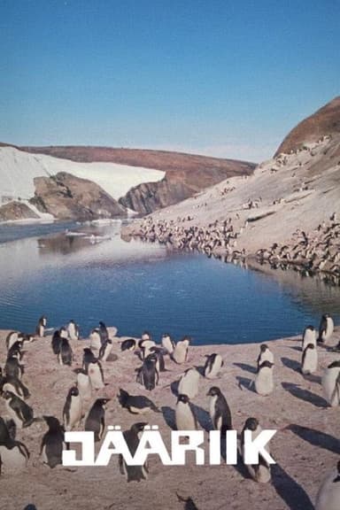 Ice State