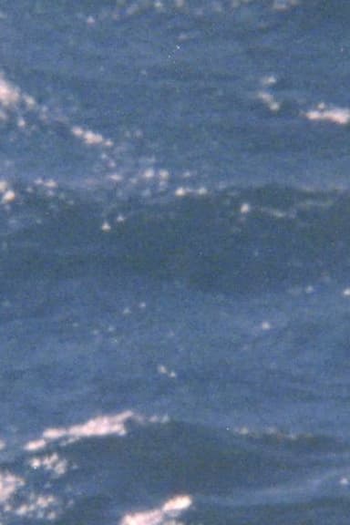 The possibility of being sea