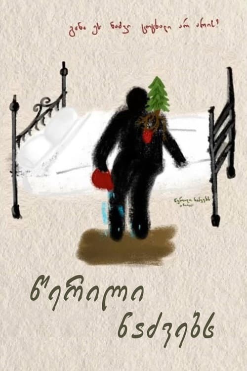 A Letter to Fir Trees