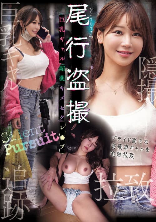 尾行盗撮 巨乳ギャル媚薬キメセクレ×プ