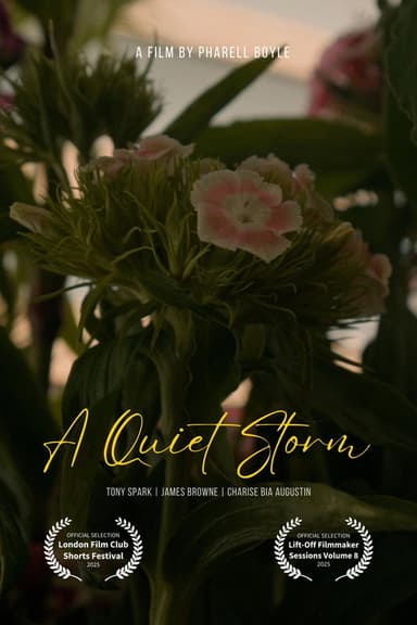A Quiet Storm