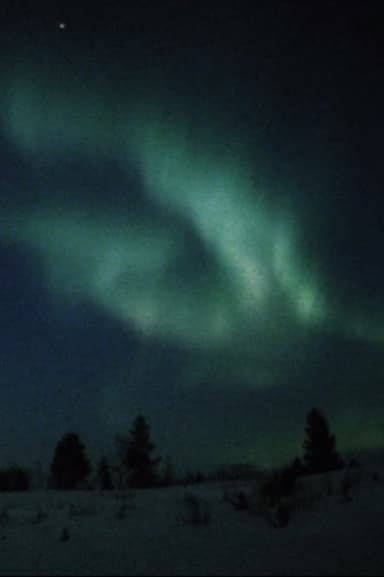 Nordlicht