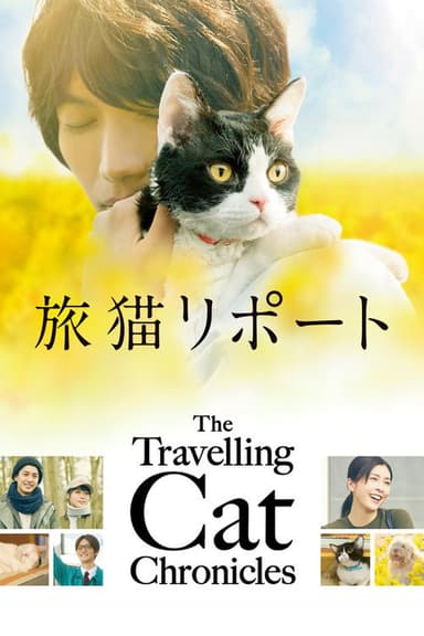 The Travelling Cat Chronicles