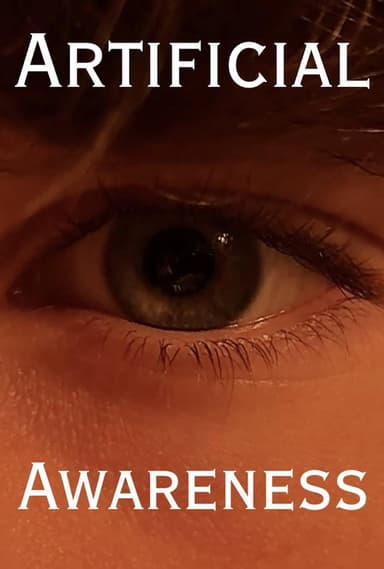 Artificial Awareness