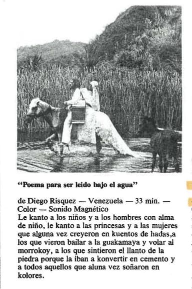 Poema para ser leído bajo el agua