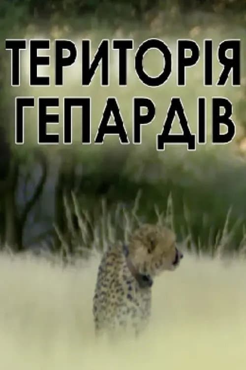 Man, Cheetah, Wild
