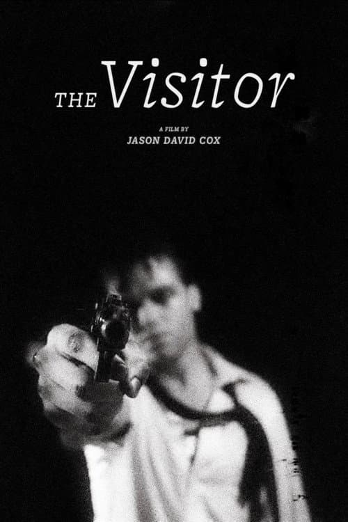 The Visitor