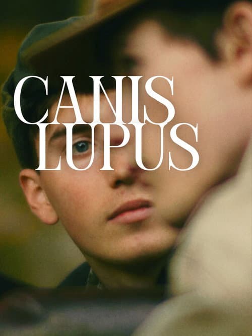 Canis Lupus