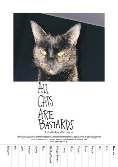 All Cats Are Bastards