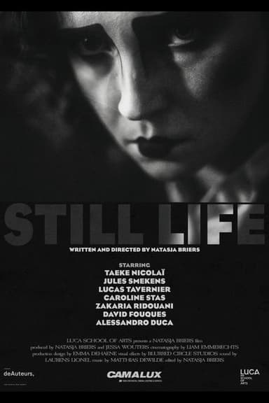 Still Life