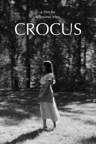 Crocus