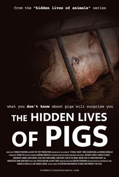 The Hidden Lives of Pigs