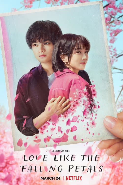 Love Like the Falling Petals
