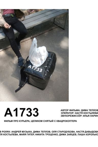 A1733