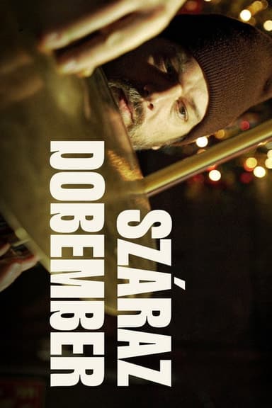 Száraz dobember