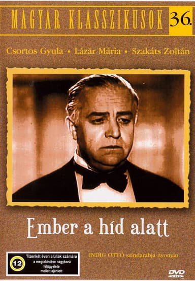 The Man Under the Bridge