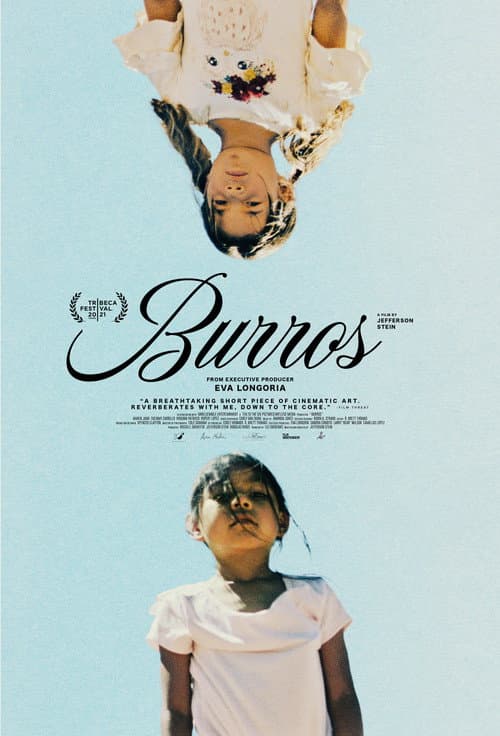 Burros