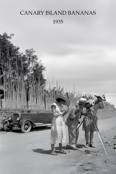 Canary Island Bananas