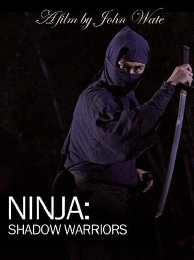 Ninja Shadow Warriors