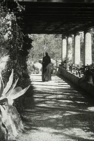The Servant