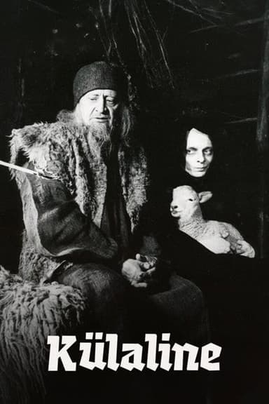 The Visitor