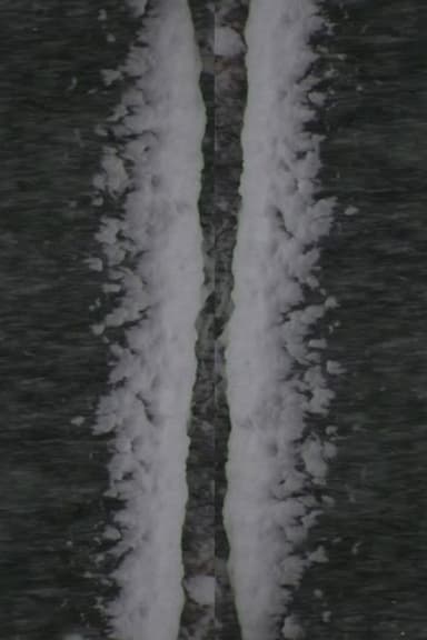 Snow Fall