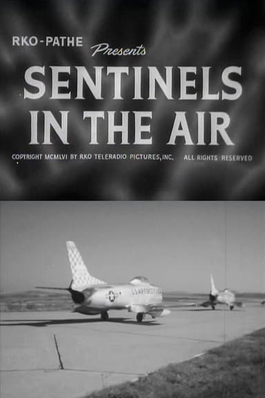 Sentinels in the Air