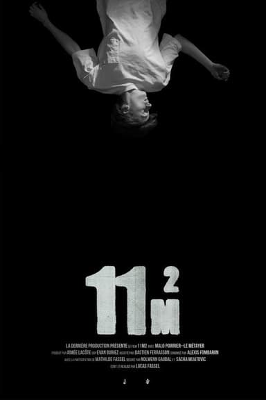 11m2